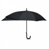 9370m-03 Parasol