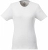 38025012f Damski organiczny t-shirt Balfour M Female