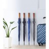 9601m-04 Parasol