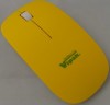 148174c-02 Musz optyczna