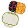 11299403f Lunchbox z włókna słomy pszenicy Crave