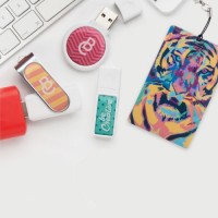 301183c_8GB Pendrive 8GB