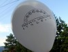 Balon 12 BIAŁY Balon 12 BIAŁY