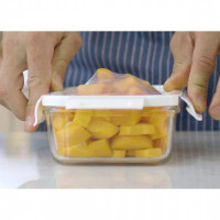 84420p-00 Lunch box transparentny