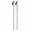 2363m-03 Kijki do nordic walking